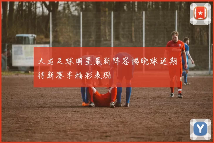 大龙足球明星最新阵容揭晓球迷期待新赛季精彩表现