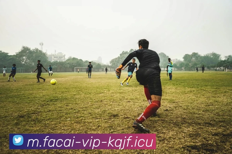 爱游戏体育注册平台生态图